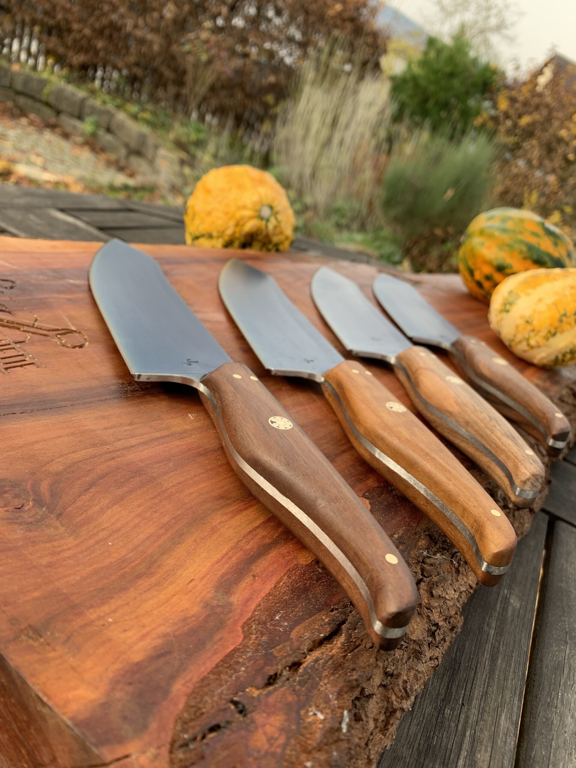 Kingfisher Series – Bild 3